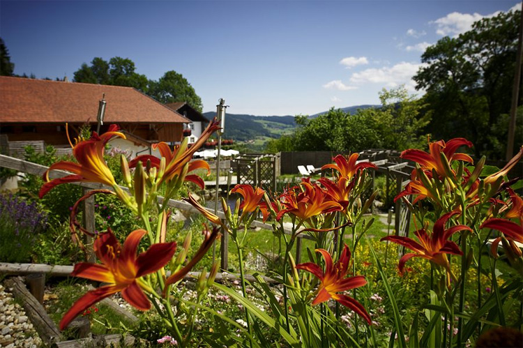 Sport- und Wellness | Spa Ressort | Hotel Waldschlößl